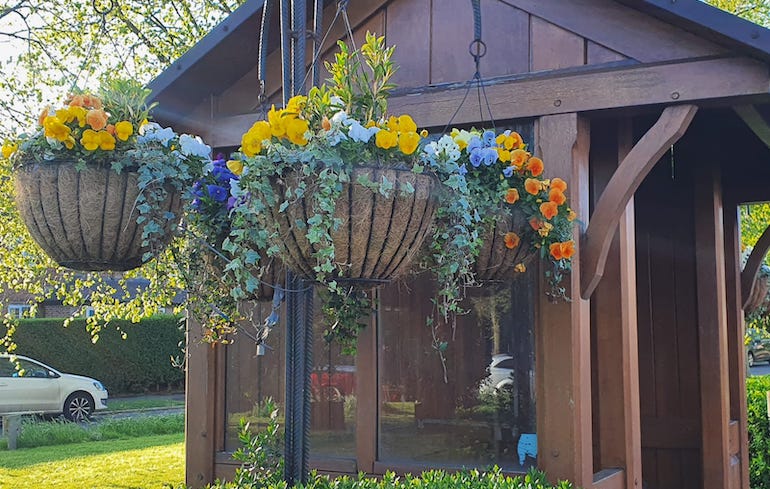 Hanging baskets